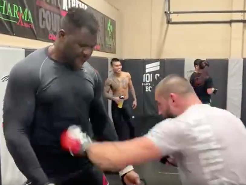 Francis Ngannou Is Addicted To Getting Punched In The ...