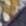 Murls