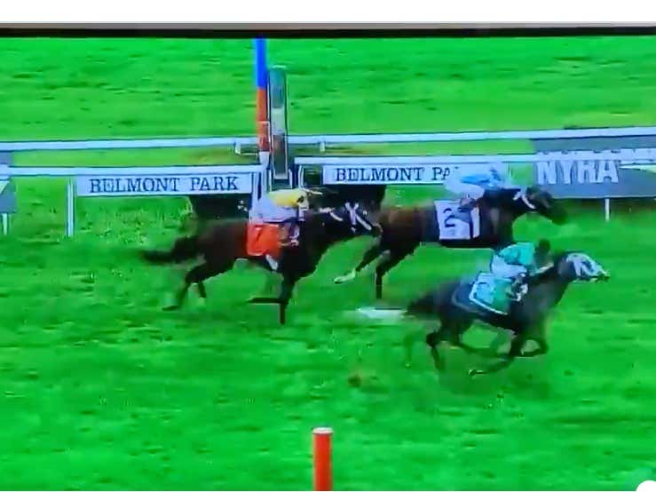 There Is NOTHING That Beats The Thrill Of One Of Your Horses Winning A