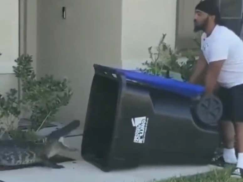 Florida Man Catches Alligator With *Checks Notes* A Trash Can