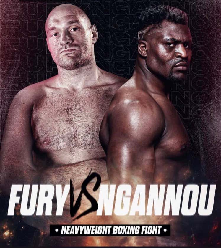 Heavyweight Boxing Champion Tyson Fury Has Called Out Heavyweight UFC Champion Francis Ngannou To Fight In A Boxing Match With MMA Gloves