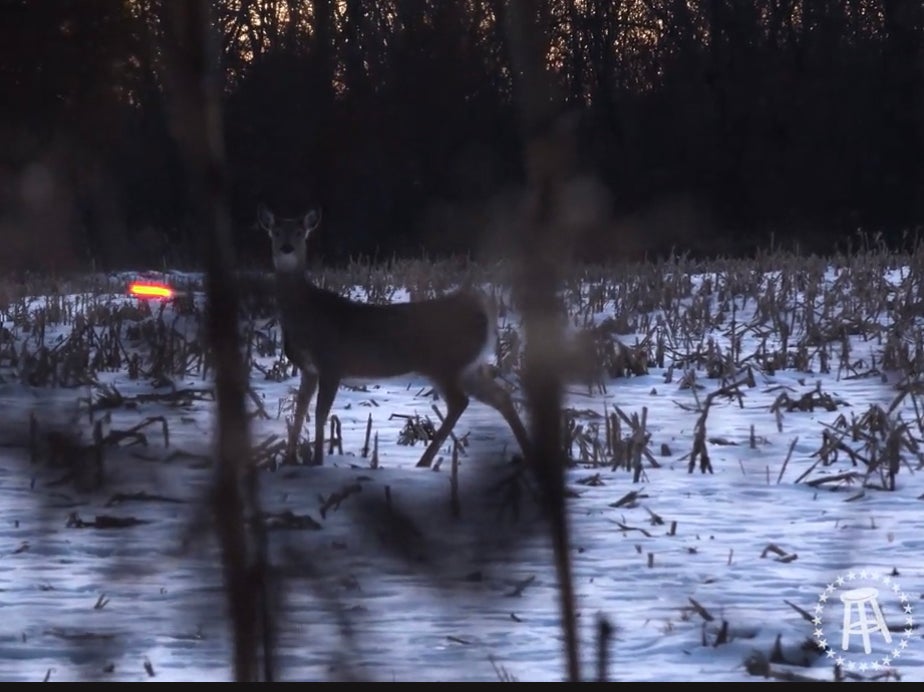 Late Season Illinois Deer Hunt
