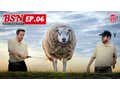 Welcome Back to the Barstool Shopping Network with Nick & KB