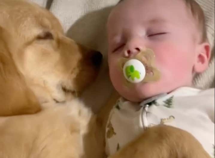 This Puppy & Baby Being Best Buds Since Birth Will Make Your Fucking Weekend