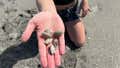 Catching Sand Fleas at the Beach!!