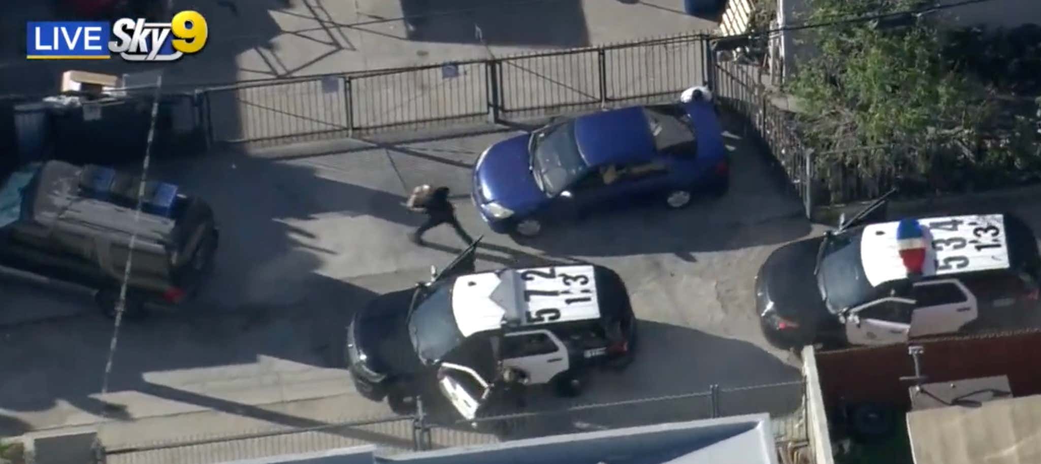 Must-Watch: Cops Can't Find a Suspect Who Is LITERALLY RIGHT THERE