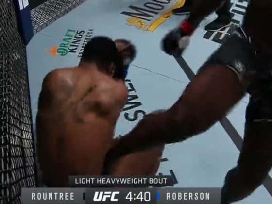 This Body Kick Would Literally Murder Me