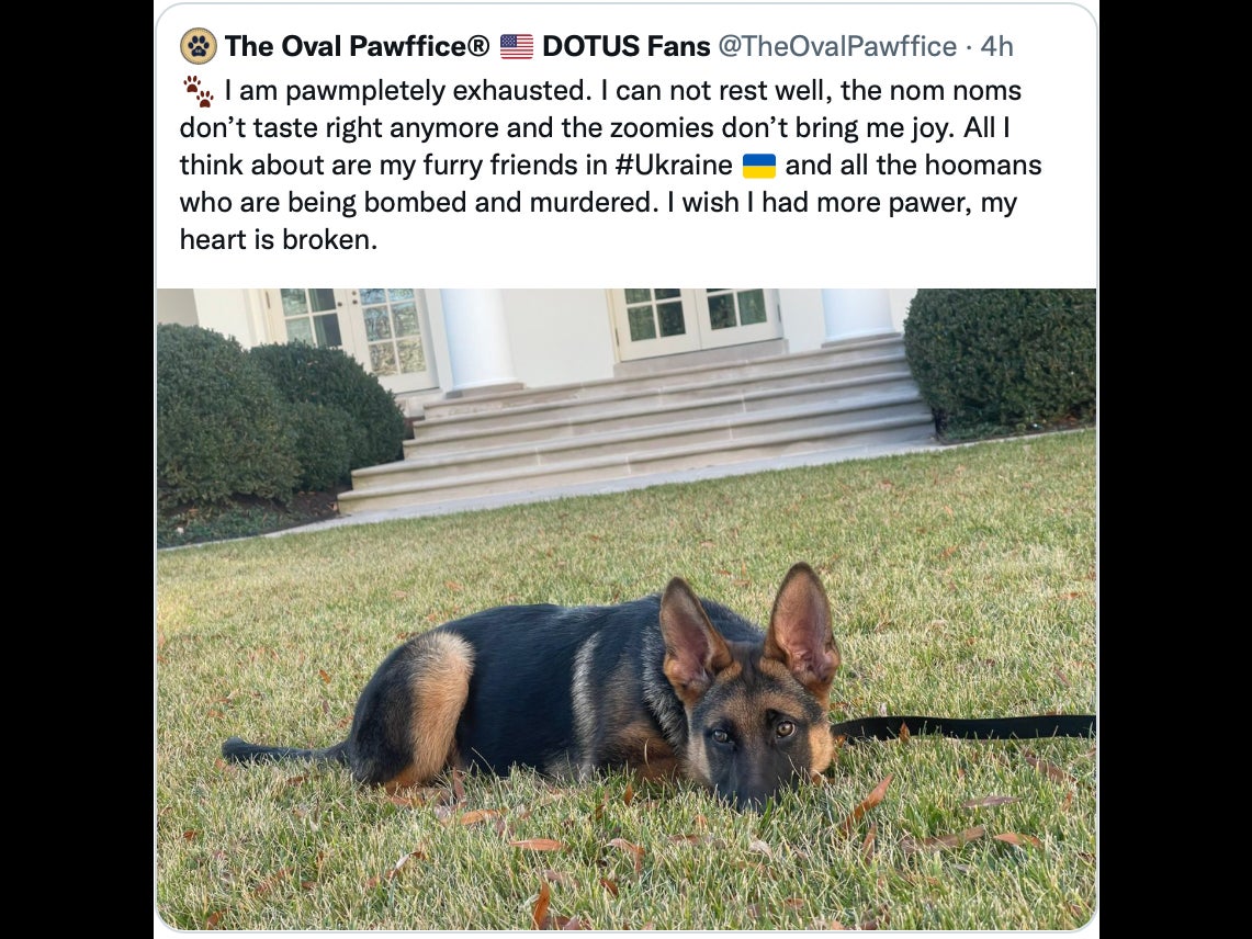 The Worst Tweet Of All Time Just Made Me Hate Joe Biden's Puppy
