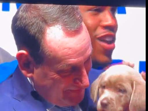 Someone Needs To Save This Dog ASAP