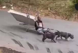 Atlanta Dog Sleds Should Replace Ubers