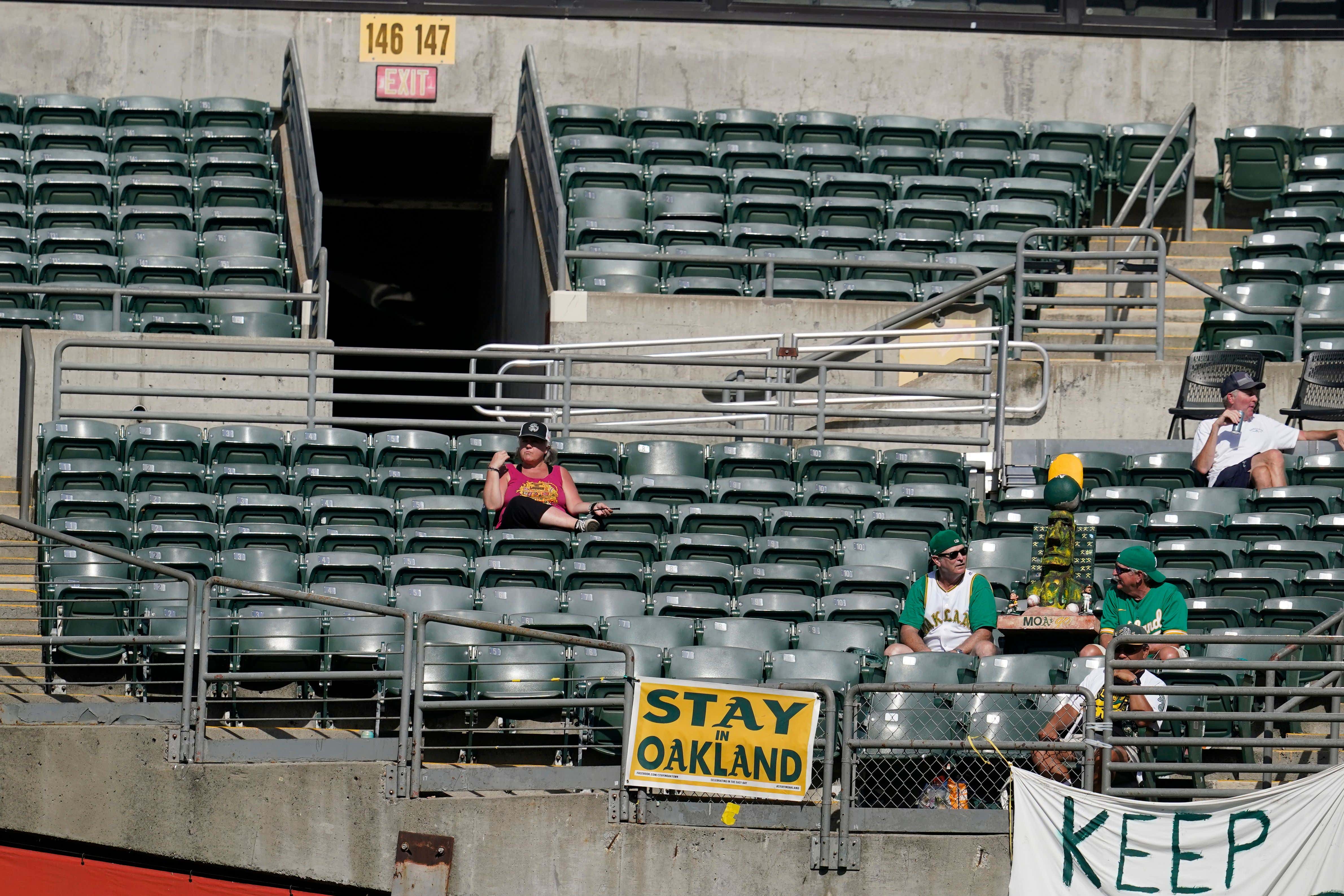 Nobody Is Attending Oakland A's Games Except the Dozens of Cats Now Living in the Ballpark