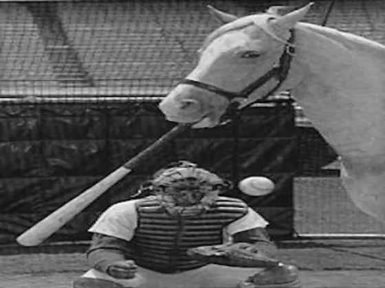 Reader Question: Which Is More Likely To Happen - A Horse Wins Baseball's Triple Crown Or A Human Wins Horse Racing's Triple Crown?