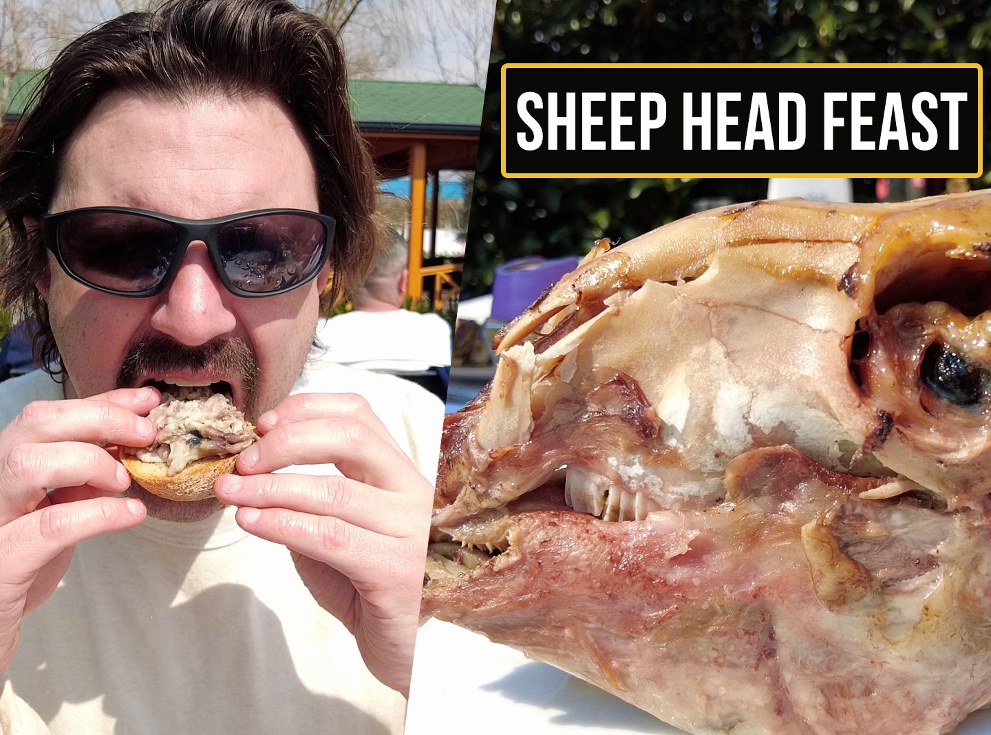 Getting Head (From a Sheep) | Whoa! That's Weird