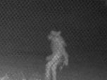 *UPDATE* Skinwalker Cryptid Spotting In Amarillo *FOUND CULPRIT*