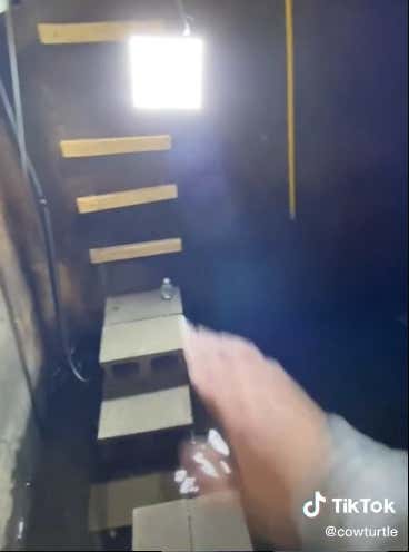 I'm Very Jealous Of This Guy Who Built An Elaborate Eel Pit Under His House