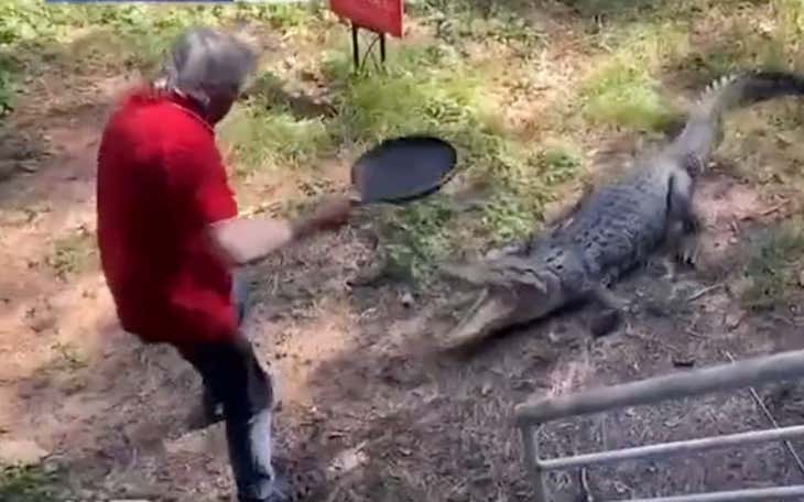 Australians Are Just Built Different: Old Man Beats The Hell Out Of A Crocodile With Nothing But A Frying Pan