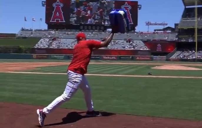 Nobody Is Safe In Anaheim. Not Even The Sunflower Seeds.