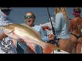 Catching Mutton Snapper : Tips & Tricks!