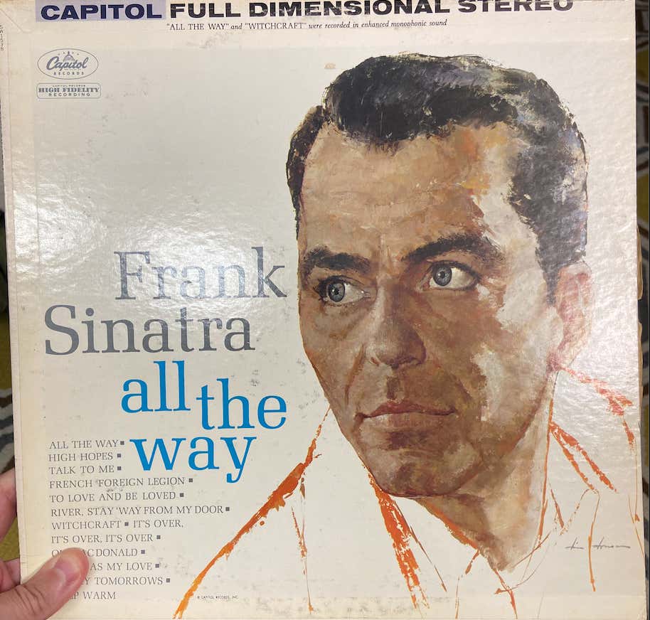 Vinyl Records Arent Just For People Who Are Trying To Look Cool And Trendy- They Actually Make You Cum!