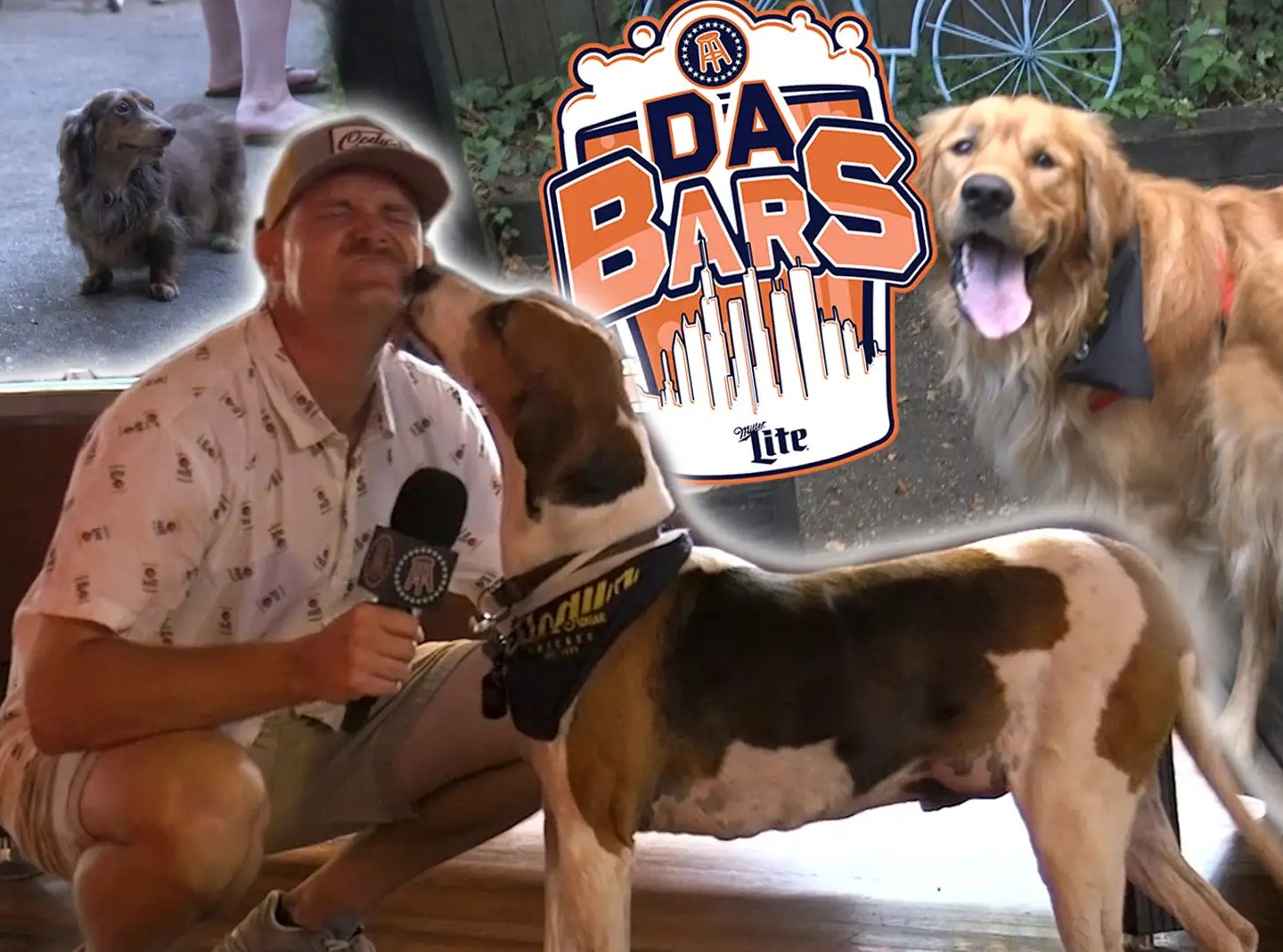 Introducing The Ultimate Dog Lover's Dream Bar