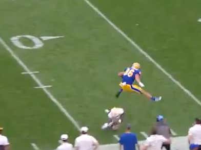 HURDLE ALERT: Pitt Tight End Gavin Bartholomew Skies Over Tennessee Defender On Amazing TD Catch-And Run