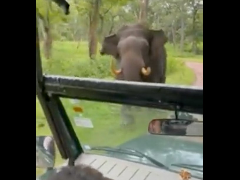 VIDEO: Bull Elephant Charges Directly At Driver With A Great Pullout Game