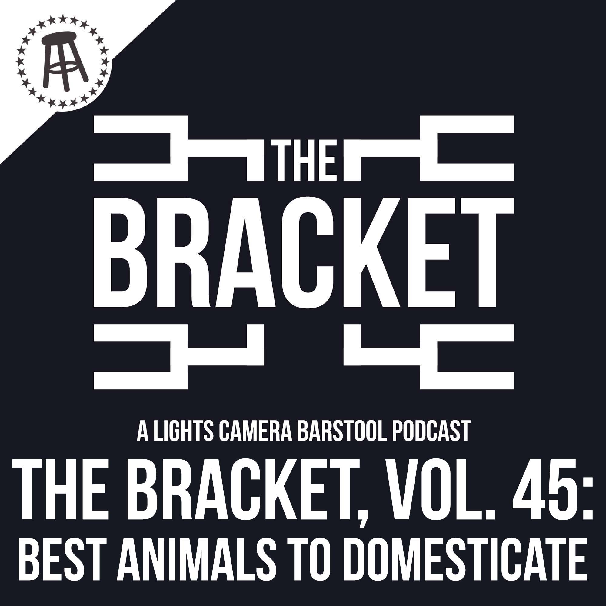 Which Animal Do You Wish Was Domesticated The Most? (The Bracket, Ep. 45) episode artwork