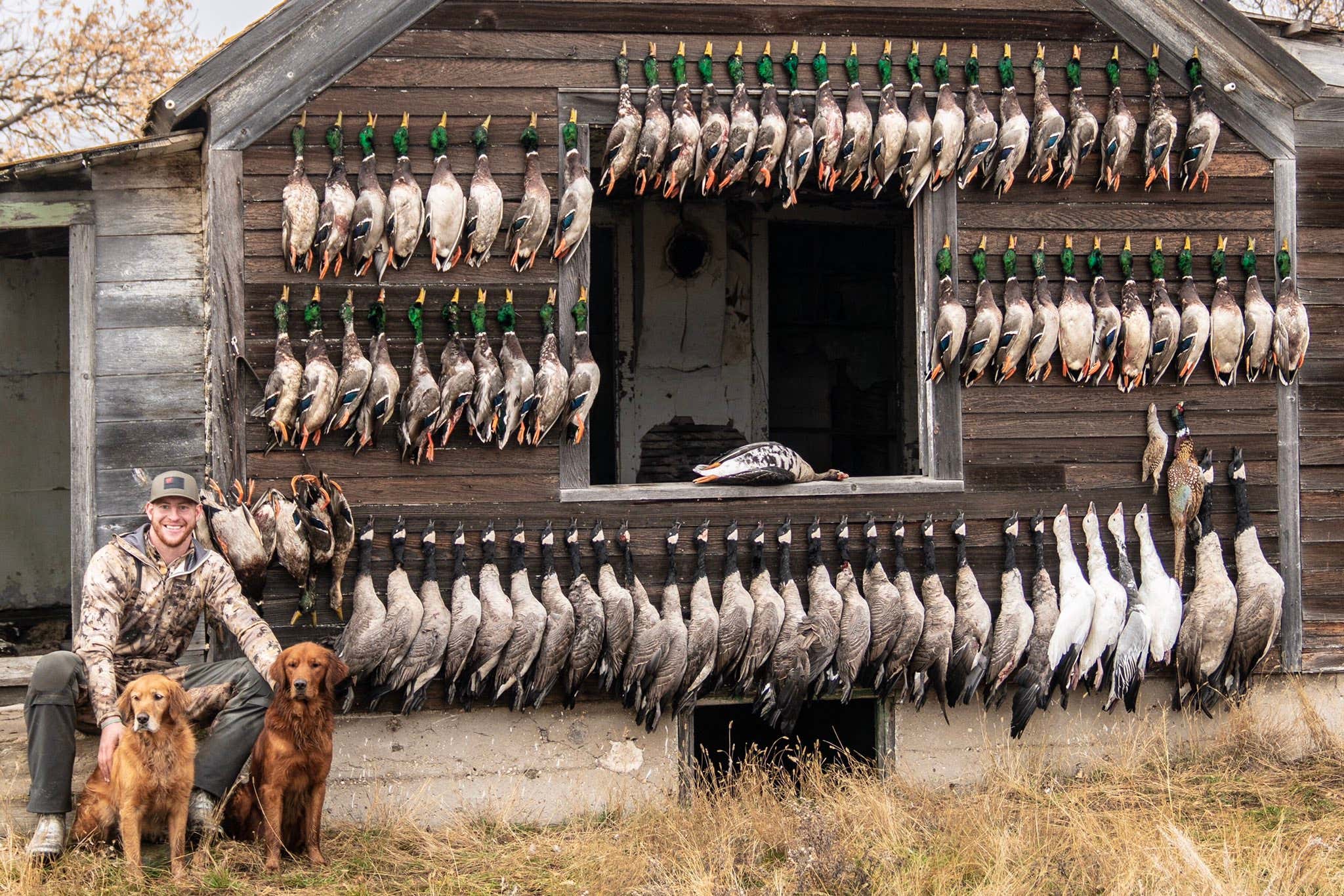 Instead of Making Fun Of Carson Wentz, Let's Power Rank Every Bird That He Shot And Nailed To A Shed