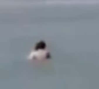 A Couple Was Fined Hundreds Of Dollars For The Victimless "Crime" Of Having Sex In The Ocean