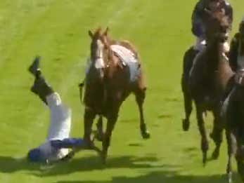 Jockey Gets Shoved Off His Horse By A Fellow Rider Going Full Speed In The Middle Of A Race