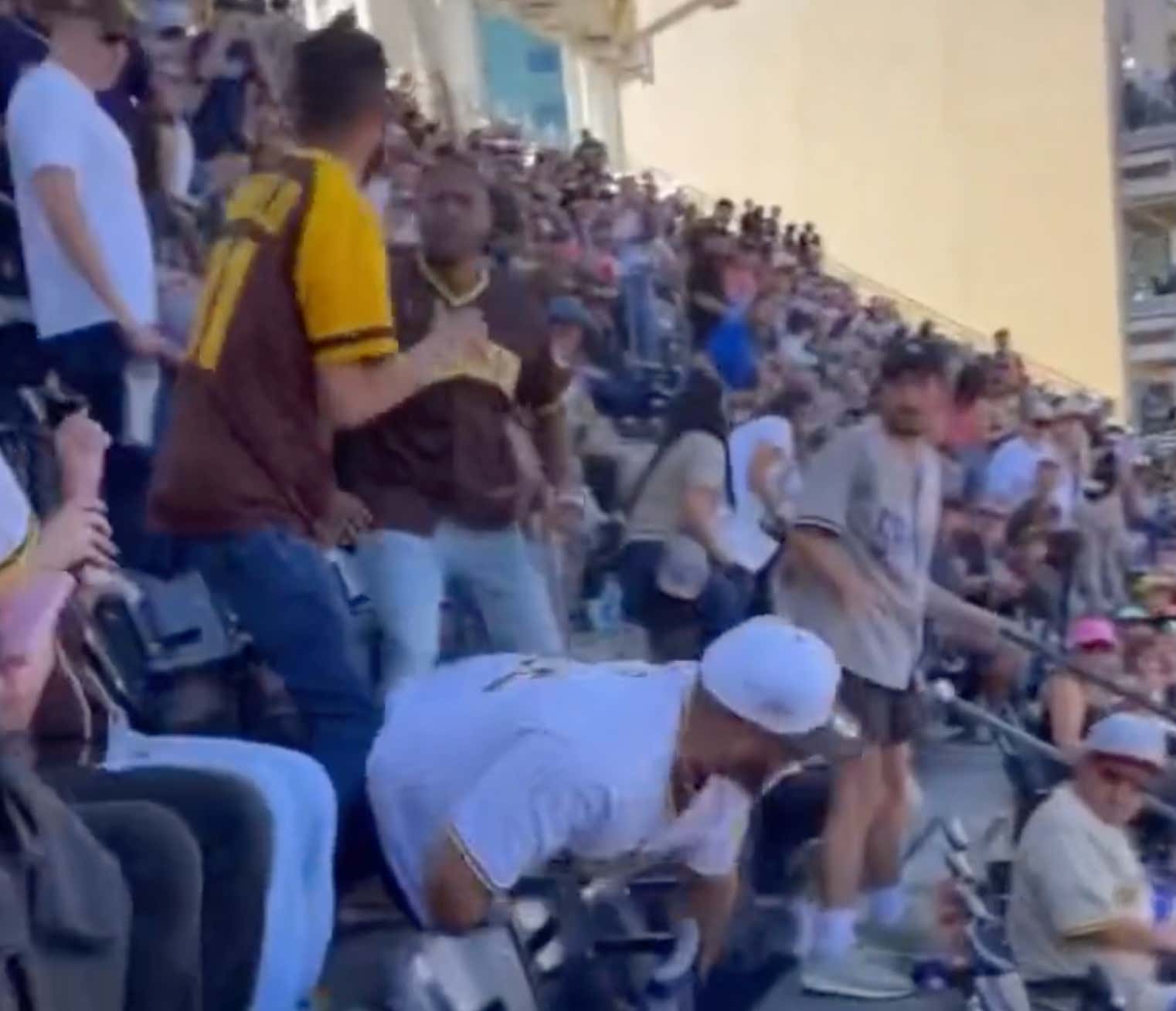 This San Diego Padres Fan Knocking Motherfuckers Out Then Throwing Them Down Multiple Rows Is All The Proof I Need That The Padres Must Be Taken Seriously