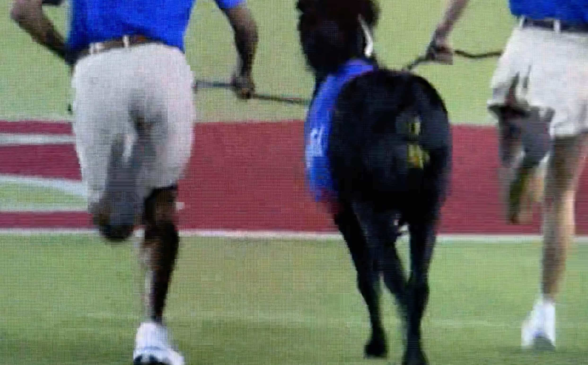 There Was A 10-Minute Delay In SMU-Navy To Clean Up Literal Horse Shit