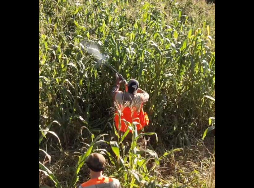 Having a Blast With Sydney and Donny