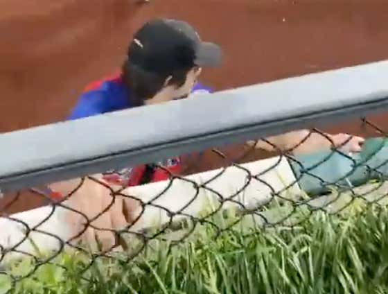 If You're Going To Be A Jackass Who Runs Onto The Field During The World Series, You At Least Need To Give A Better Effort Than This