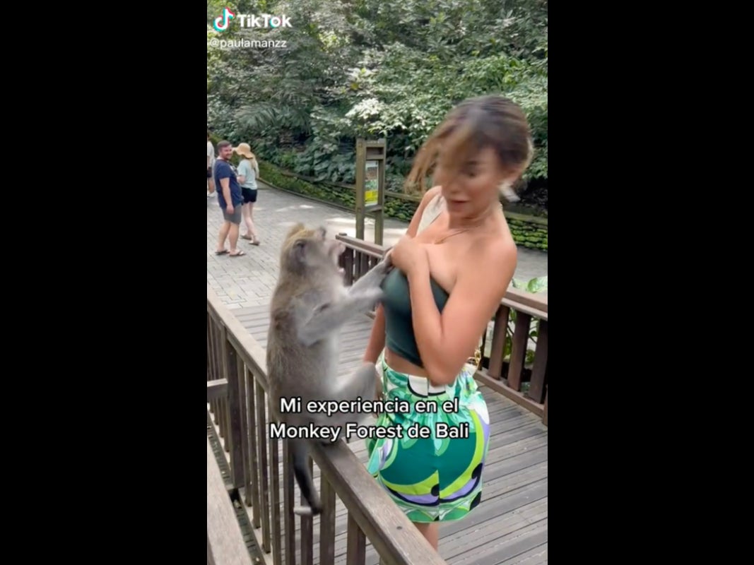 Miss Peru (Absurdly Hot) Barely Avoided A Wardrobe Malfunction Via Some Monkey Business At The Zoo