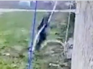 An Italian Mafia Boss Escaped From His "Escape Proof" High Security Prison By Using A Bedsheet Rope