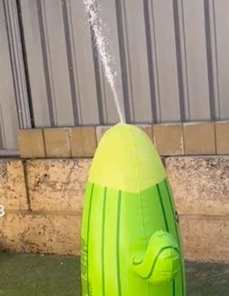 A Mother Buys Her Kids What Was Supposed To Be A Nice Cactus Sprinkler, Turns Out To Look Like A Giant Penis