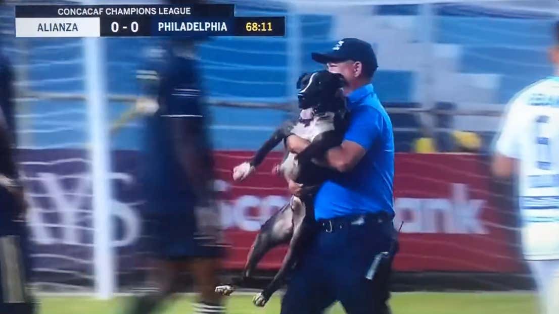 Dog On The Field Is Always The Best Play In Soccer