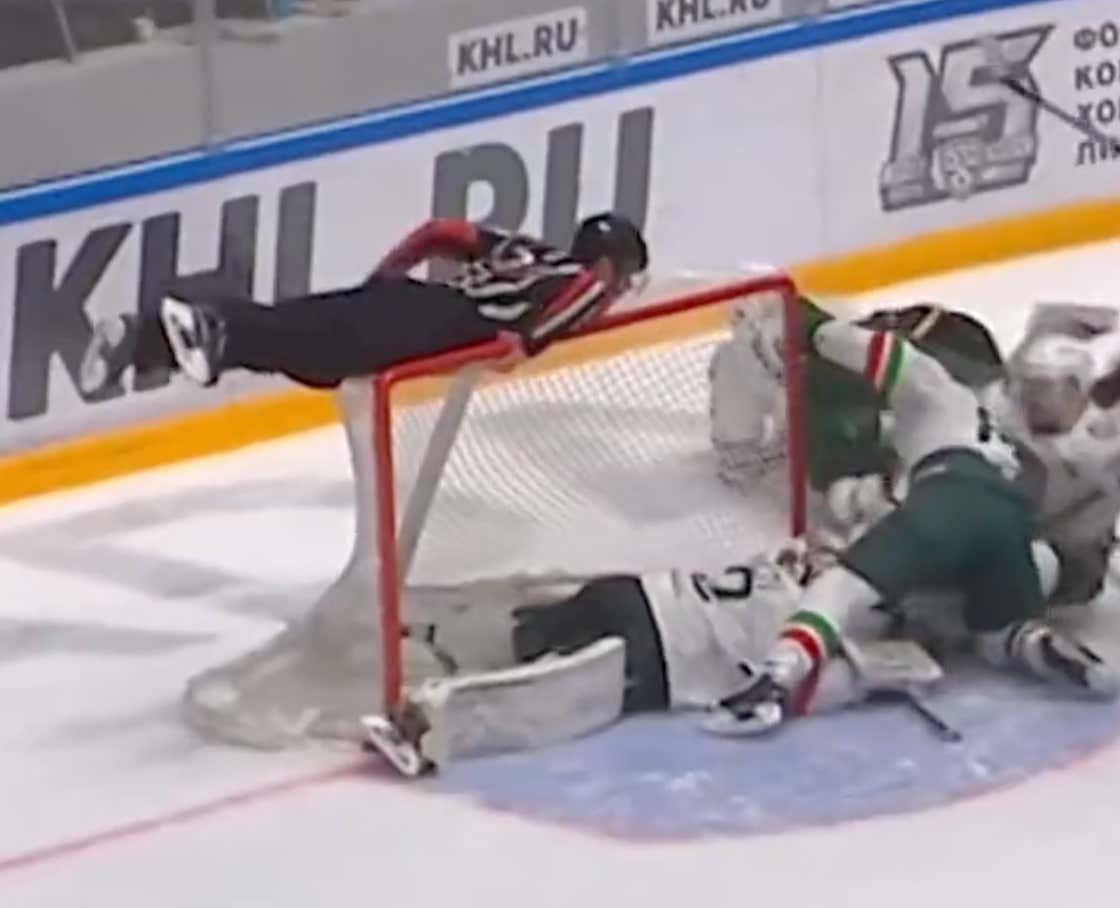 This Hockey Ref Needs To Get A Call-Up To The NHL Immediately