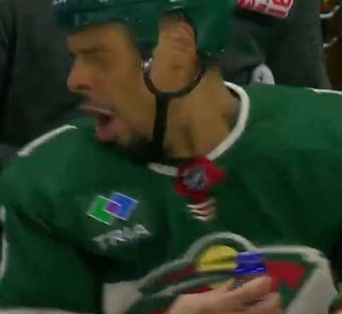 Minnesota Wild Forward Ryan Reaves Requested Stronger Smelling Salts And They, Um, Definitely Worked!