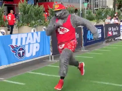 $1M BOUNTY PUT ON CHIEFSAHOLIC's HEAD: WOLF ON THE RUN