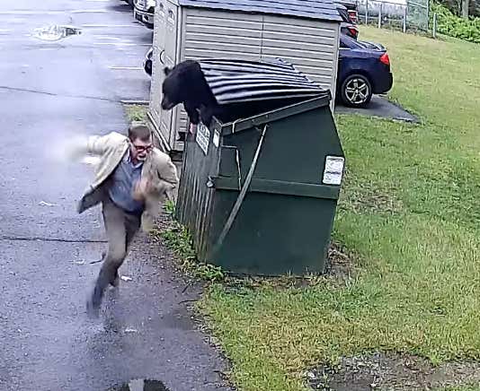 An Elementary School Principal Opened A Dumpster To Find A Bear Hiding Inside And I Have To Think That Someone Set Him Up