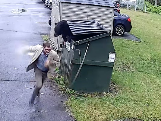 An Elementary School Principal Opened A Dumpster To Find A Bear Hiding Inside And I Have To Think That Someone Set Him Up