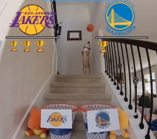 A Corgi Has Accurately Predicted All 4 Games Of Lakers-Warriors, So I Have No Choice But To Tail It For The Rest Of The Series