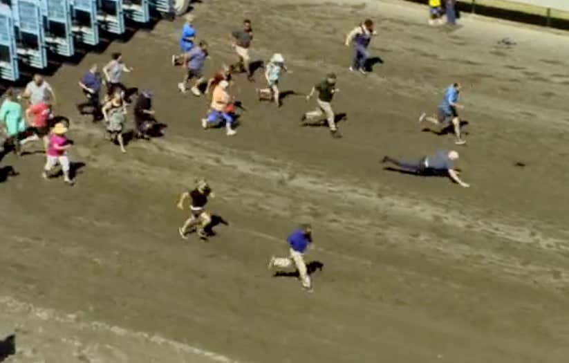 Grandparent Racing Is The Sport Of The Future And Includes As Many Old People Falling As You Would Think