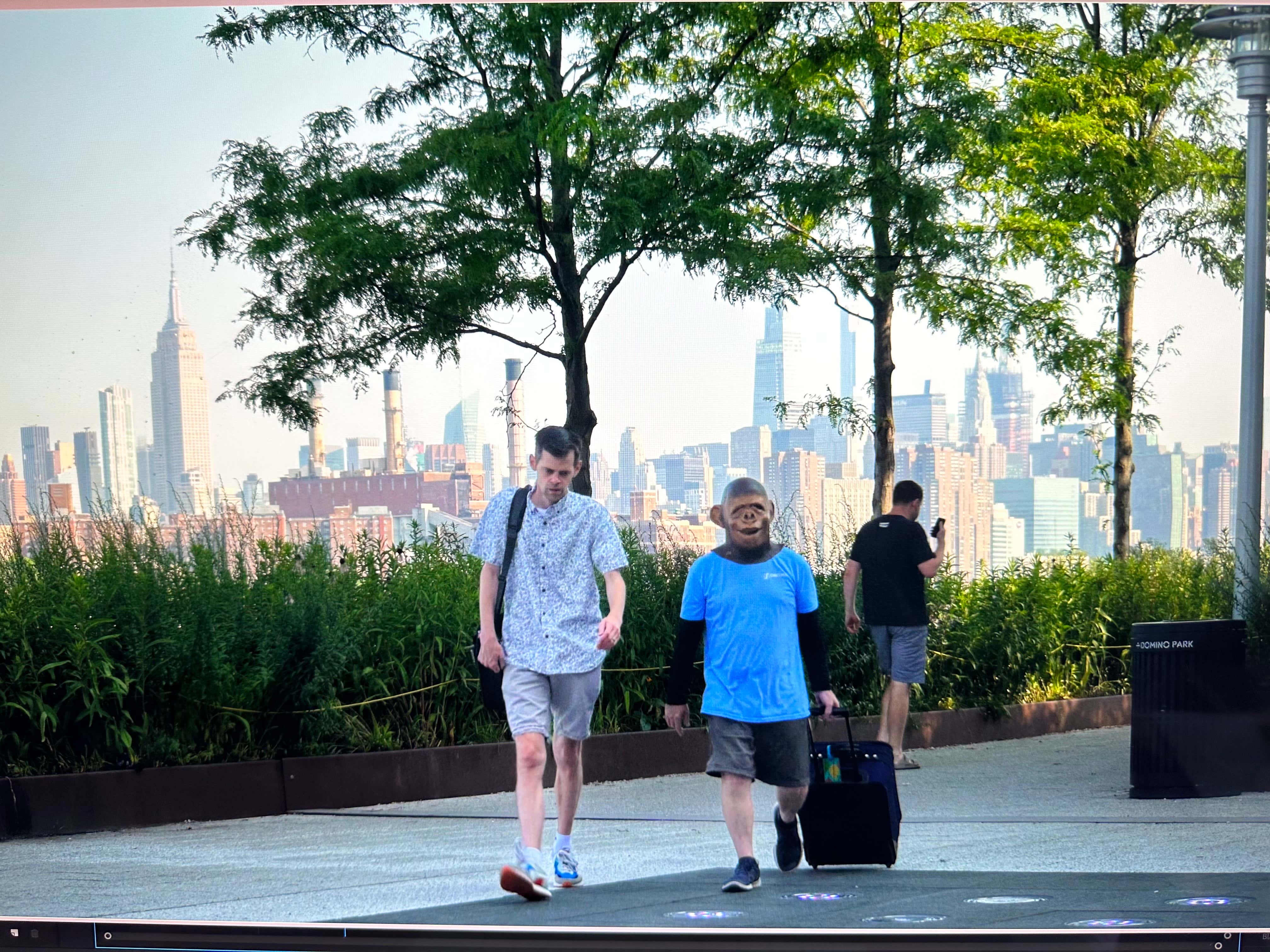 Come Home Monkeyboy Is Finally Here!