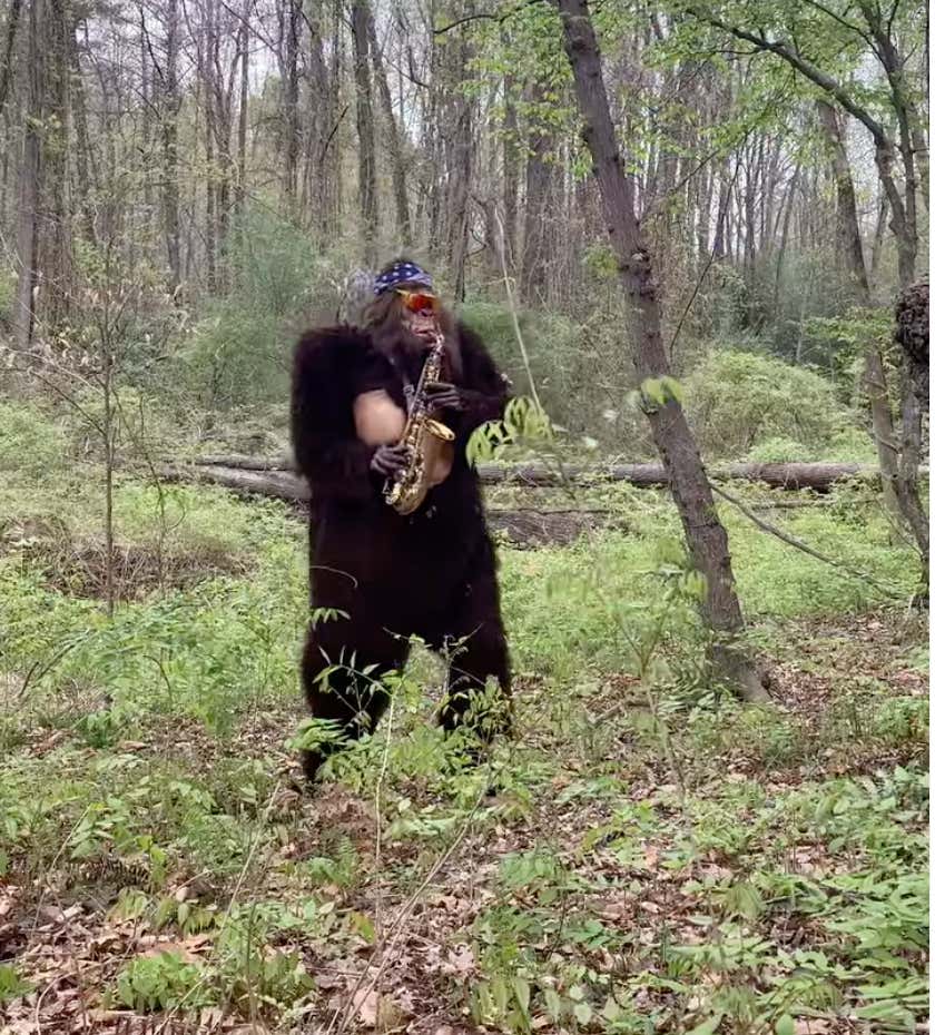 I Can't Stop Watching Videos Of This Saxophone Playing Sasquatch