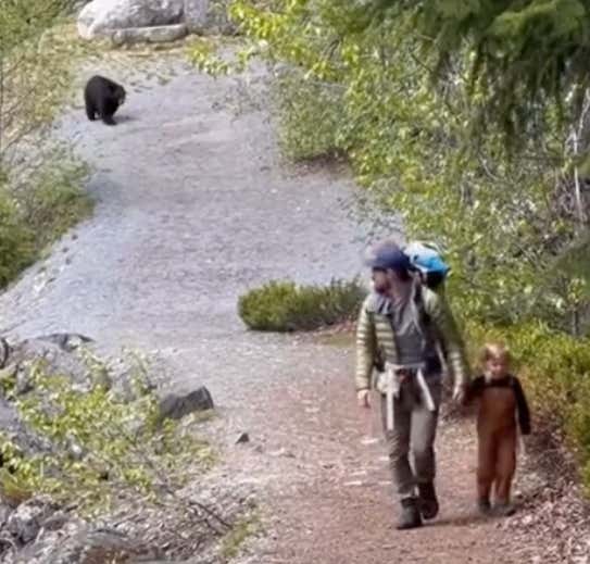 Nightmare Fuel...A Bear Stalked A Family On A Hiking Trip