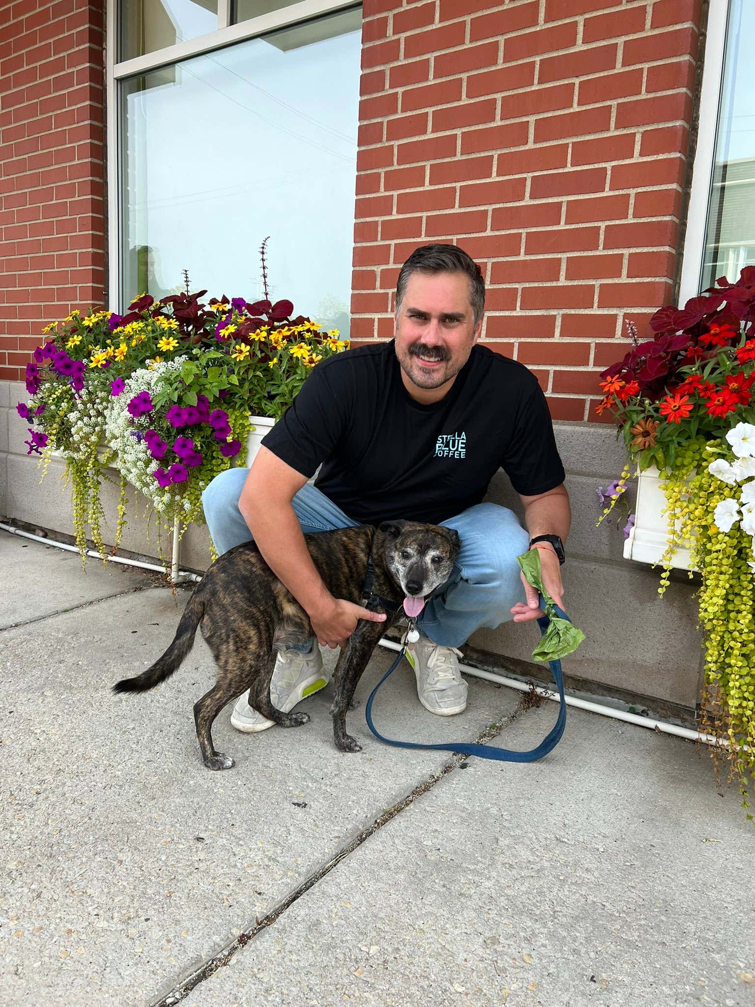 August Dog Of The Month - Stella Katz