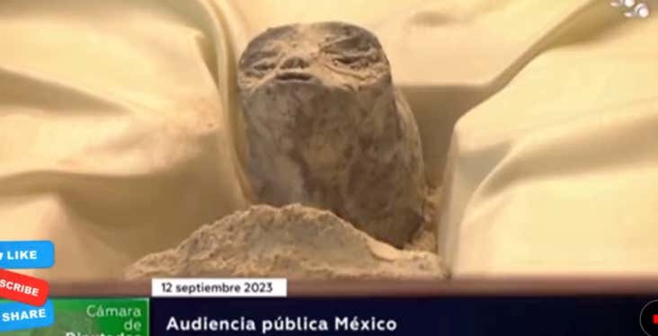 I Think These Mexican Aliens Are Fake As Fuck